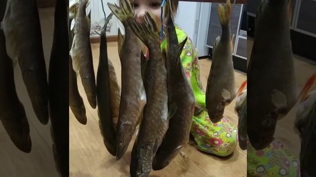 Рыбалка. Обучаем названию рыб. смотреть онлайн