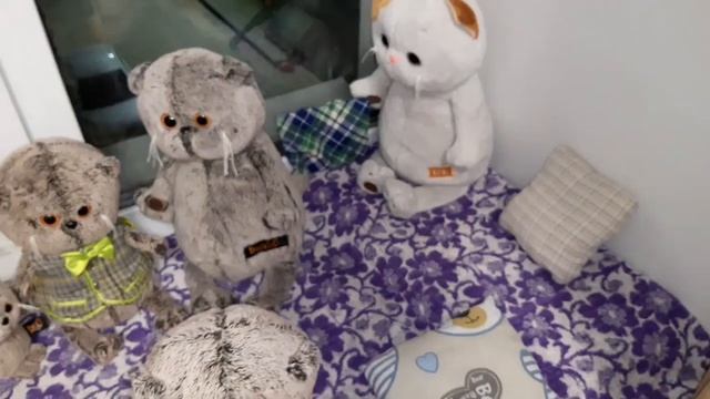 Бася Басик и Буся переехали к нам смотреть онлайн