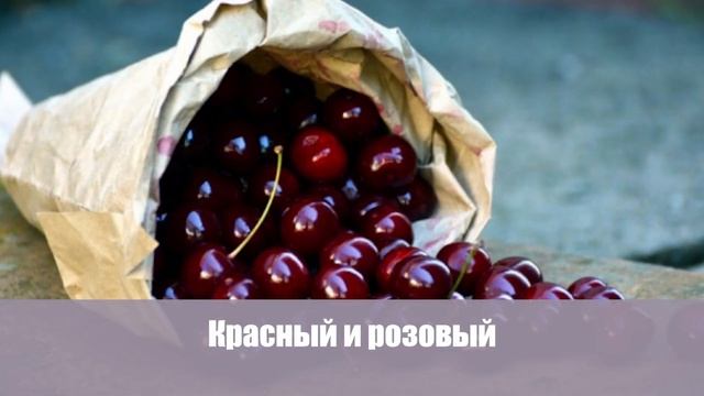 В любимый цвет! Простые советы, как покрасить одежду, используя натуральные ингредиенты смотреть онлайн