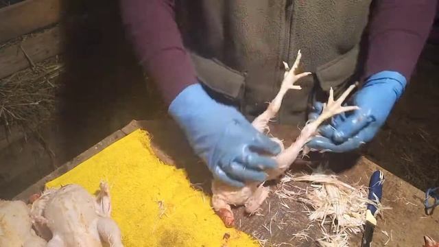 Вкусные обеды от Аллы