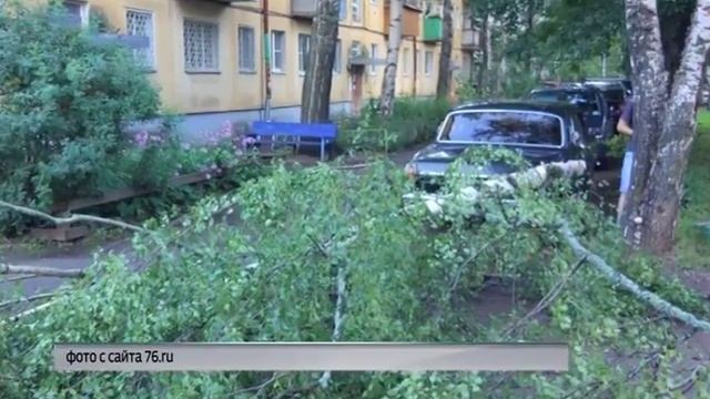 Поваленные деревья и отключение света: в регионе вновь бушевала непогода смотреть онлайн