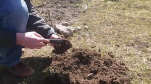 Коп с профессиональным металлоискателем AKA Signum MFD по годографу!