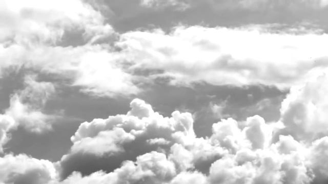 Seashore Darkcave - Medusozoa Cult смотреть онлайн