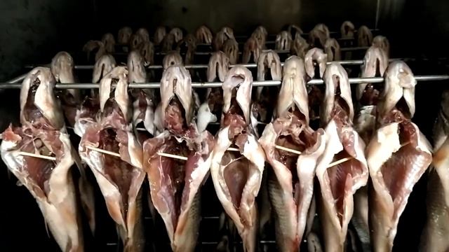 Засолка вялка холодное копчение рыбки чебак смотреть онлайн