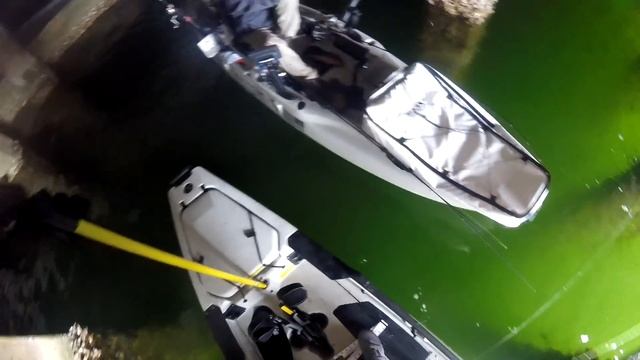 Kayak Fishing - Catching MONSTER Mangrove Snapper Inshore (Pensacola, FL) смотреть онлайн