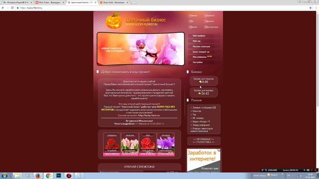 Заработал за неделю на Rich Town Lucky Florist и Elvengold. смотреть онлайн