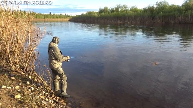 ОТКРЫТИЕ ЛЕТНЕГО СЕЗОНА 2020 / РЫБАЛКА НА ТАЕЖНОЙ РЕКЕ смотреть онлайн