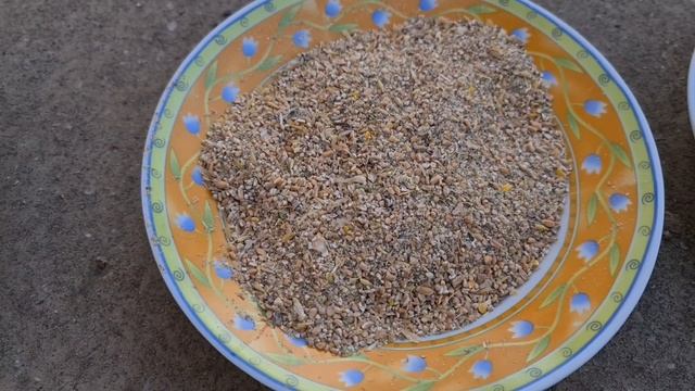 Немецкий корм для кур несушек. Содержание кур несушек в Германии. смотреть онлайн
