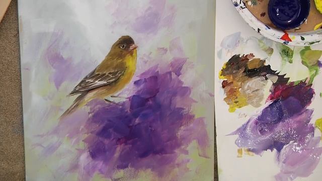 The Lesser Goldfinch with Jacaranda смотреть онлайн