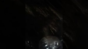 ISUZU 4JB1 снимем барабан.