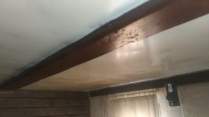 Как побороть шашеля в деревянном доме! Быстро и эффективно выводим жуков из бревен и защищаем доски