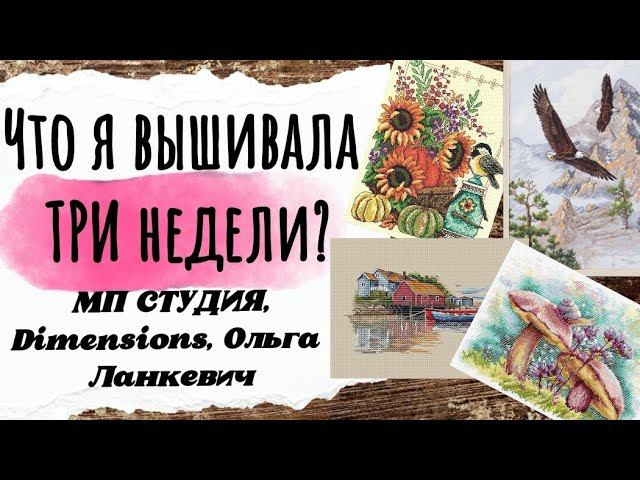 162. Продвижения за ТРИ недели августа | Dimensions, Imaginating, Ольга Ланкевич | Вышивка крестом смотреть онлайн