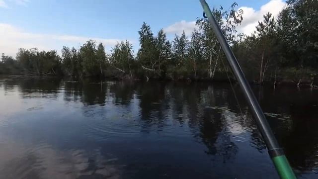 Рыбалка на диком озере в ХМАО 2019. Окунь, щука на спиннинг. смотреть онлайн
