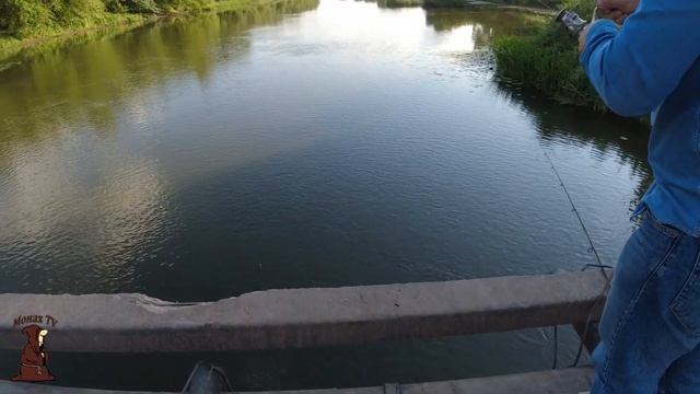 Дегустация продолжается и Летняя Рыбалка с берега на донки тоже! Ловля карася на пруду смотреть онлайн