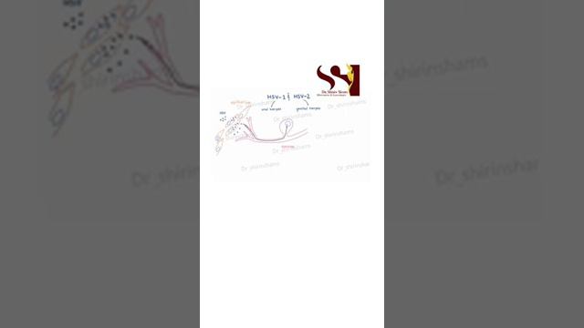 هرپس تناسلی смотреть онлайн