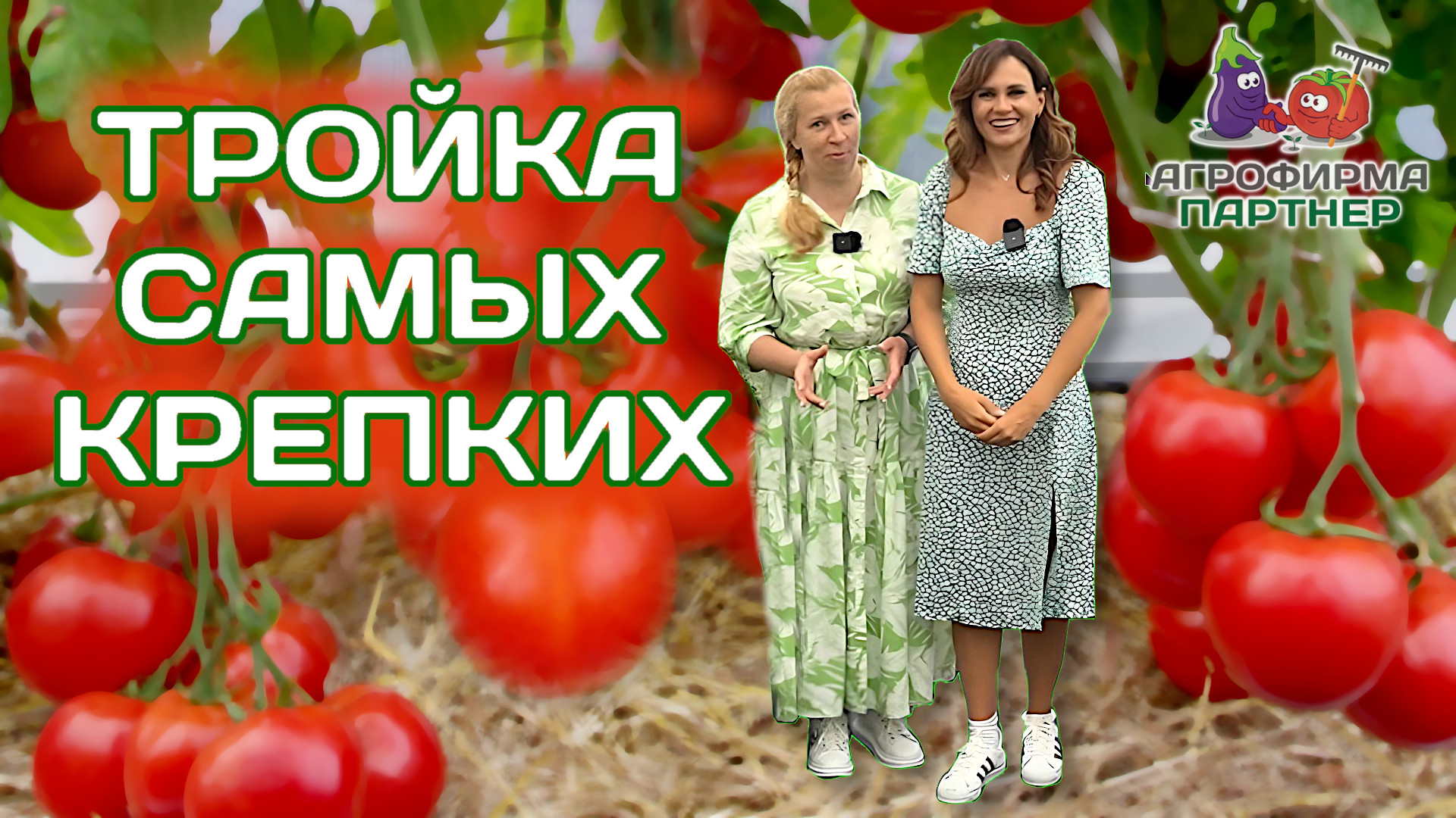 Три томата, которые растут в любых условиях смотреть онлайн