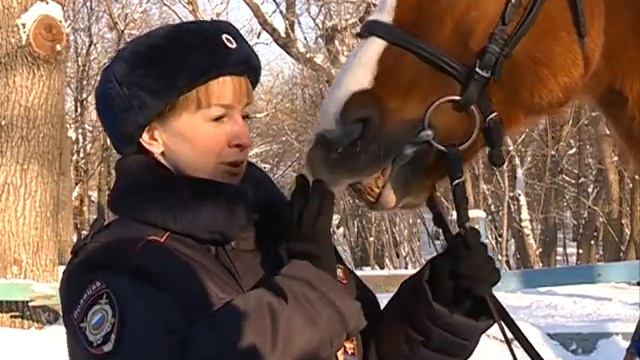 С дядей Стёпой - мы друзья 1.02.2015 смотреть онлайн