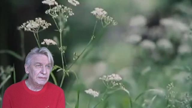 От наскальной живописи и обратно смотреть онлайн