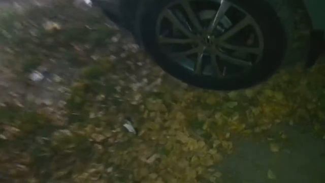 Стучит Маховик. Passat b6 дизель двигатель bmp. двухмассовый маховик смотреть онлайн