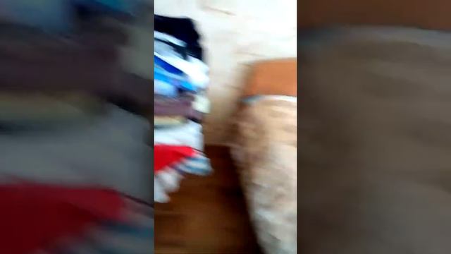 Угораю над братом с солью :D смотреть онлайн