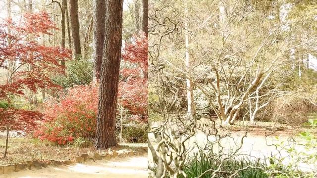 Nikon Coolpix P900 Sample Pictures смотреть онлайн