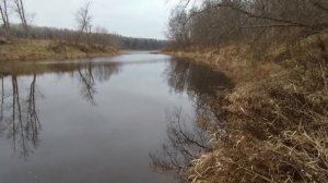 Электронная рыбка. Время работы  во время рыбалки в холодной воде!
