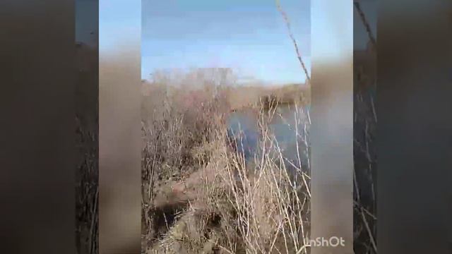 поездка на рыбалку по бездорожьям смотреть онлайн