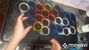 ОБЕЗЗАРАЖЕВАНИЕ ПОЧВЫ ДЛЯ РАССАДЫ (МАРГАНЦОВКОЙ), САМАЯ ПРОСТАЯ ОБРАБОТКА!