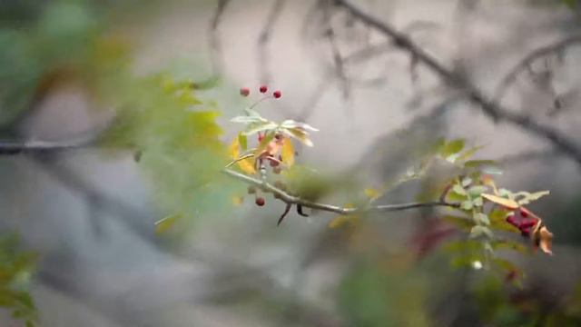 Кайракский водопад (Кайрак), Ущелье Тургень смотреть онлайн
