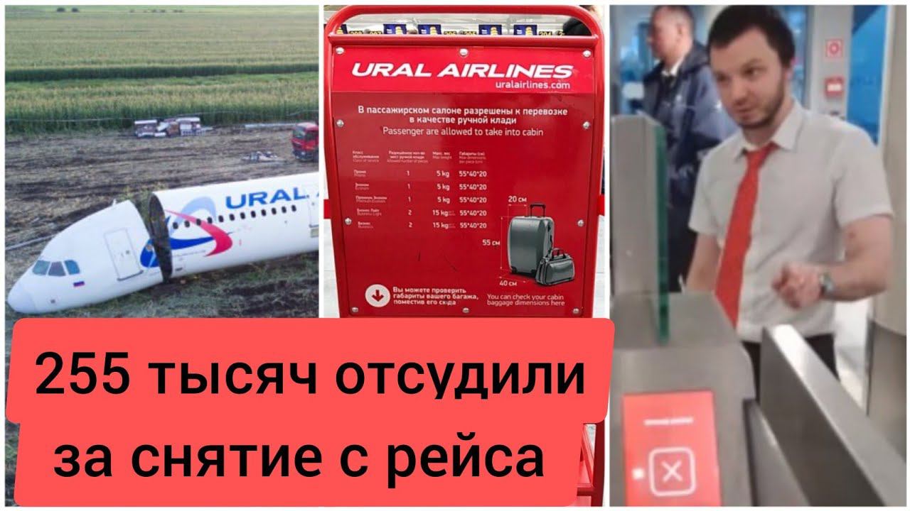 255 тысяч заплатила авиакомпания Уральские авиалинии за снятие семьи с рейса. Интервью после суда