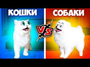 КОШКИ vs СОБАКИ !!! КТО КРУЧЕ?!  Вася и Шанель ПОДРАЛИСЬ!!!