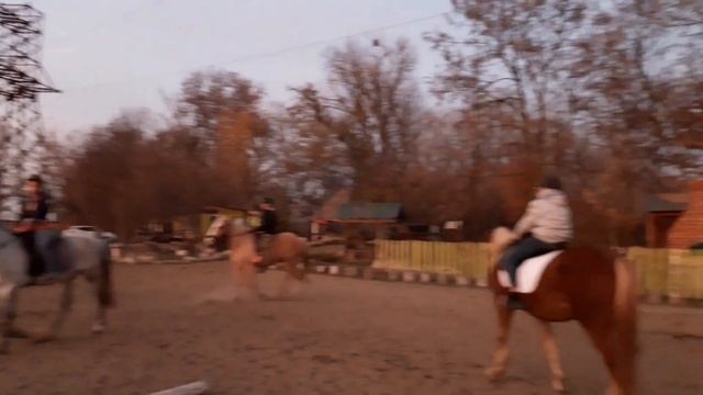 Вот где мы тренируемся. Фланкировка и Джигитовка в Краснодаре. ШВХКО"Корогод" смотреть онлайн