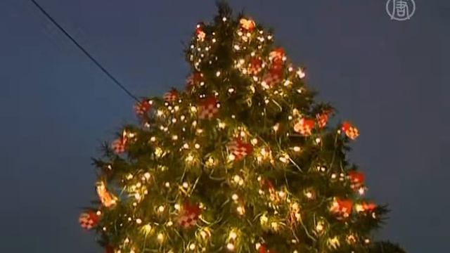 Рождественская елка призывает к энергосбережению смотреть онлайн