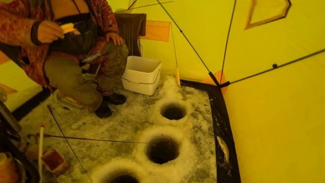 Хороший улов малоротой корюшки на Буссе | Выселковое рыбалка смотреть онлайн