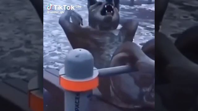 Поверьте, не кому не верьте смотреть онлайн