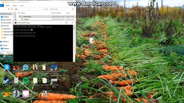 Py2exe Tutorial смотреть онлайн