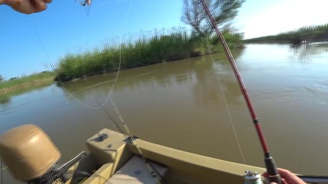 Рыбалка в Астрахани. Ловим сома на квок и жереха на спиннинг. Приманка саранча, лягушка и ракушка. смотреть онлайн