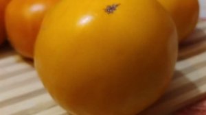 Оранжевый слон // томат