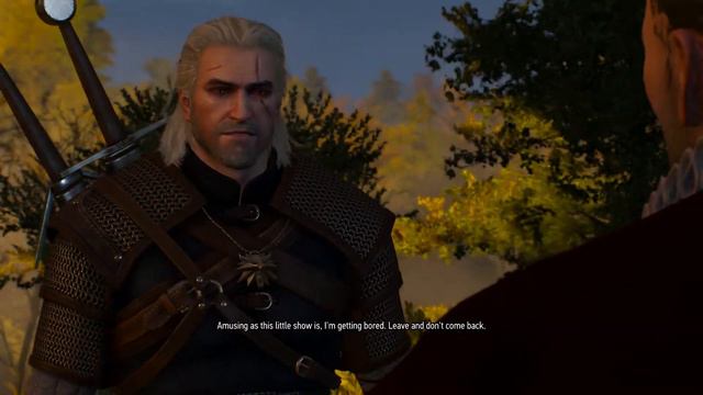 The Witcher Game of the Year - No Commentary Gameplay Part 4 (PC) 1080p60fps смотреть онлайн