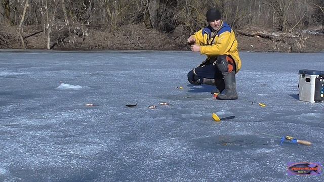 #СУЛА # ЗАКРИТТЯ СЕЗОНУ #РибачуЯкУмію смотреть онлайн