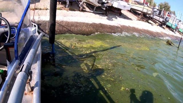 Кисельные , зеленые, берега реки МАТУШКИ ВОЛГИ!!! ЖАРА ПЛЮС 37 , вода 27 , прозрак воды равен 0 !!! смотреть онлайн