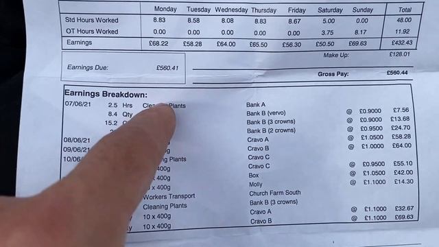 Сколько я заработал на ферме за месяц? Работа в Англии. смотреть онлайн