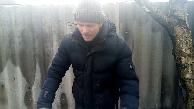 Результат объединения семей. Состояние клубов на 1 декабря смотреть онлайн