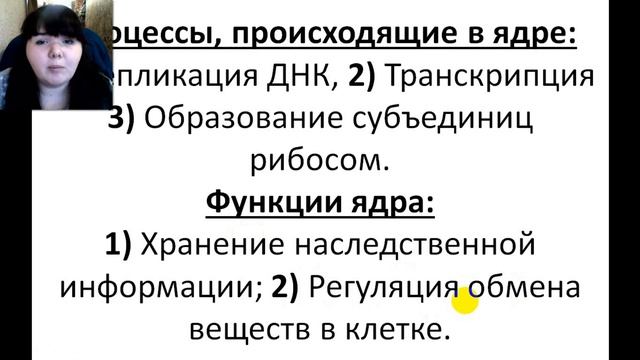 СТРОЕНИЕ ЯДРА, РИБОСОМ, ЦЕНТРИОЛЕЙ (ЕГЭ И ОГЭ ПО БИОЛОГИИ) смотреть онлайн