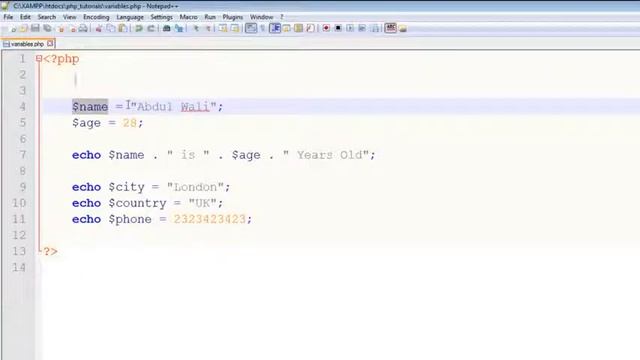 Chapter 1 - Global Variables смотреть онлайн