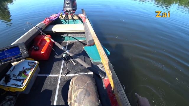 СОМ НА КВОК. Поиск активной рыбы на локальных ямах.