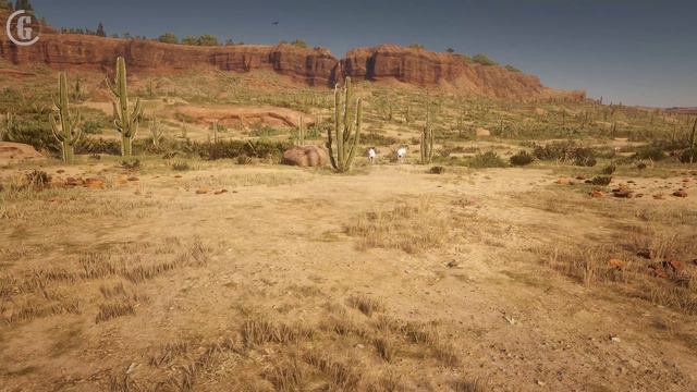 Ultra RARE Animal Encounters in Red Dead Redemption 2 PC 4K смотреть онлайн