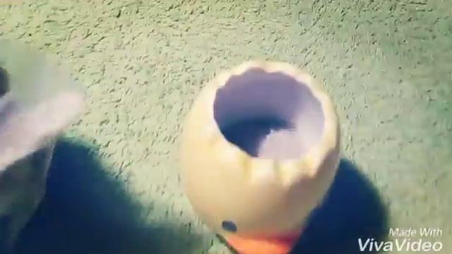 Пшеничка из яичка☺ смотреть онлайн