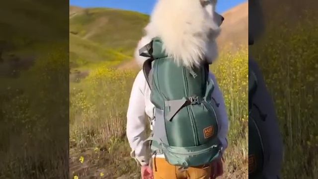 22 мая 2022 г. смотреть онлайн