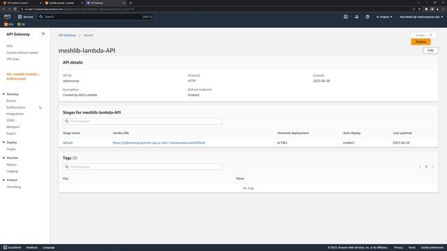 MeshLib in an AWS Lambda for cloud computation смотреть онлайн